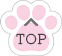 PAGE TOP